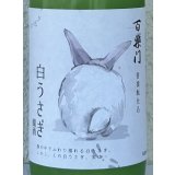 百楽門 どぶろく生酒 白うさぎ 500ml