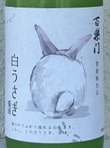 百楽門 どぶろく生酒 白うさぎ 500ml
