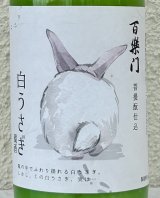 百楽門 どぶろく生酒 白うさぎ 720ml