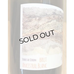 画像4: レ・テール・ブランシュ  ブリュット アンセストラル（白）スパークリング　750ml