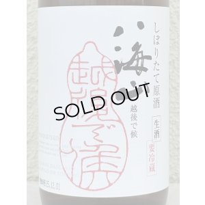 画像1: 八海山 純米大吟醸 しぼりたて生原酒 越後で候 720ml 