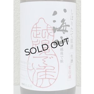 画像1: 八海山 純米大吟醸 しぼりたて生原酒 越後で候 1.8L