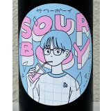 飛良泉 サワーボーイ 純米吟醸 ＜生＞ 720ml