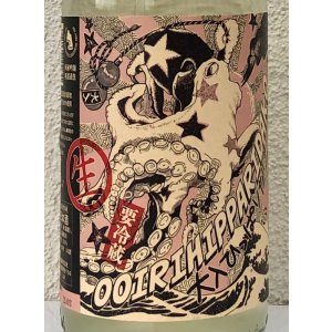 画像1: 北島 大入ひっぱりだこ 純米吟醸生酒 1.8L