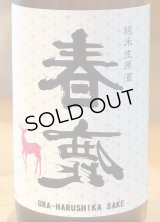 春鹿 純米生原酒 氷温貯蔵 番外品 720ml