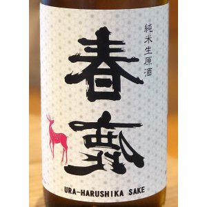 画像1: 春鹿 純米生原酒 氷温貯蔵 番外品 720ml