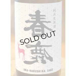 画像1: 春鹿 純米生原酒 氷温貯蔵 番外品 720ml