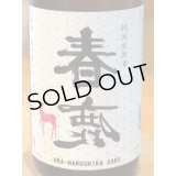春鹿 純米生原酒 氷温貯蔵 番外品 1.8L