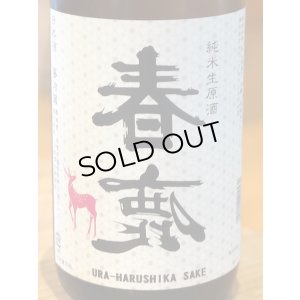画像1: 春鹿 純米生原酒 氷温貯蔵 番外品 1.8L