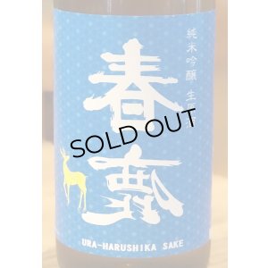 画像1: 春鹿 純米吟醸生原酒 夏仕込み 720ml