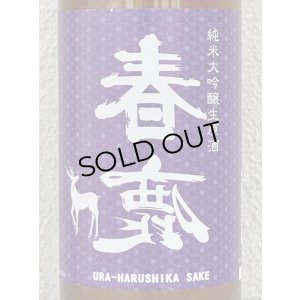 画像1: 春鹿 無圧搾り 純米大吟醸生原酒 720ml