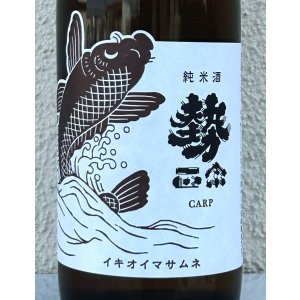 画像1: 勢正宗 carp 常温熟成ブレンド燗上がり 720ml