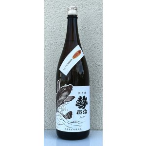 画像2: 勢正宗 carp 常温熟成ブレンド燗上がり 1.8L