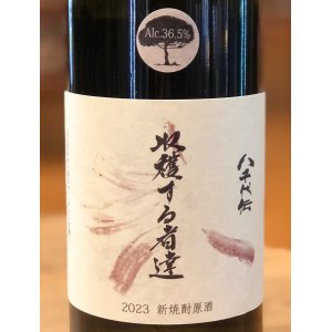 画像1: 八千代伝 Harvester （白）原酒 芋焼酎36.5度 720ml