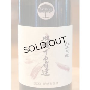 画像1: 八千代伝 Harvester （白）原酒 芋焼酎36.5度 720ml