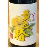 八千代伝 黄色い椿 芋焼酎25度 1.8L