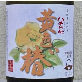 八千代伝 黄色い椿 芋焼酎25度 720ml