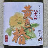 八千代伝 黄色い椿 芋焼酎25度 720ml