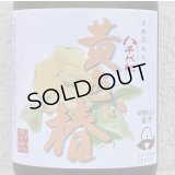 八千代伝 黄色い椿 芋焼酎25度 720ml