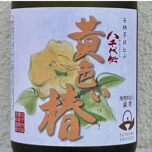 画像1: 八千代伝 黄色い椿 芋焼酎25度 720ml