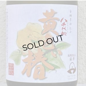 画像1: 八千代伝 黄色い椿 芋焼酎25度 720ml