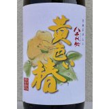 八千代伝 黄色い椿 芋焼酎25度 1.8L