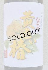 八千代伝 黄色い椿 芋焼酎25度 1.8L