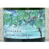 さっぽろ藤野 ナイヤガラ ハセガワヴィンヤード 2025 750ml