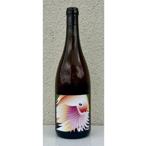 画像2: グレープリパブリック アランチョーネ 2023（オレンジ） 750ml