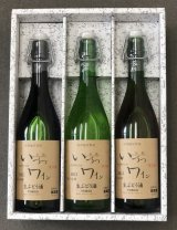 いづつ 果汁発酵生ワイン 赤・白・ロゼの３本セット＜720ml×3本＞