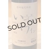 井筒ワイン 無添加 コンコード 2023（赤）甘口  360ml