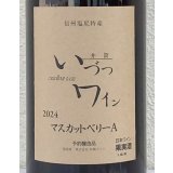井筒ワイン マスカットベリーA（赤）1.8L
