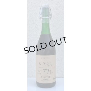 画像2: 井筒 果汁発酵 生ワイン（赤）720ml