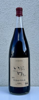 井筒ワイン マスカットベリーA（赤）1.8L