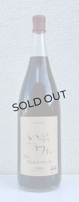井筒ワイン マスカットベリーA（赤）1.8L