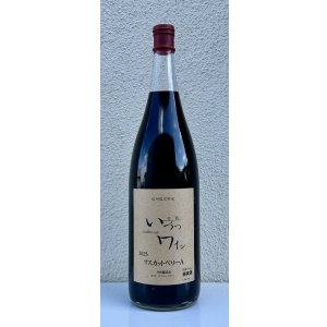 画像1: 井筒ワイン マスカットベリーA（赤）1.8L