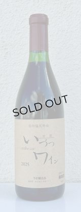 井筒ワイン 無添加 コンコード（赤）甘口  720ml