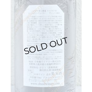 画像3: ドメイヌソガ ムラサキ第七農場 カベルネソーヴィニヨン サンシミ 2023 赤 750ml