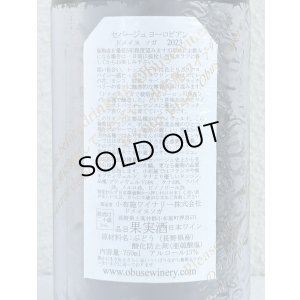 画像3: ドメイヌ ソガ セパ―ジュ ヨーロピアン 2023 （赤）750ml 