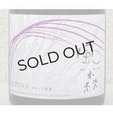 風の森  ALPHA６ 6号酵母への敬意 真中採り生 500ml