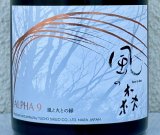 風の森  ALPHA９ 風と火の縁 500ml