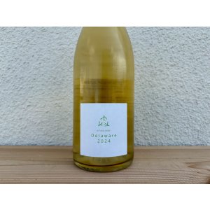 画像1: 木谷ワイン　デラウェア　2024 白 750ml