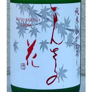 画像1: まんさくの花 純米 ひやおろし 720ml