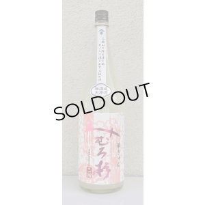 画像2: みむろ杉 純米吟醸 おりがらみ生 華きゅん 1.8L