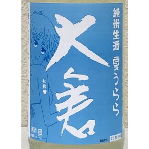 画像1: 大倉 純米生酒 夏うらら 1.8L