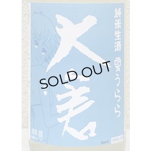画像1: 大倉 純米生酒 夏うらら 1.8L