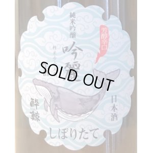 画像1: 酔鯨 純米吟醸 吟麗 しぼりたて生酒 720ml