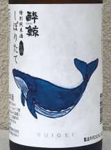 酔鯨 特別純米 しぼりたて生酒 720ml