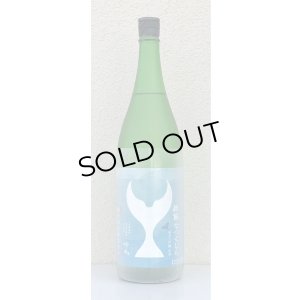 画像2: 酔鯨 純米大吟醸 なつくじら原酒 1.8L