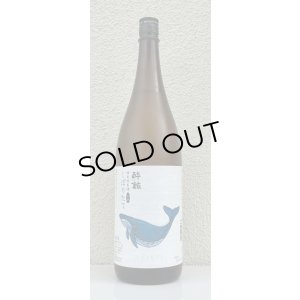 画像2: 酔鯨 特別純米 しぼりたて生酒 1.8L